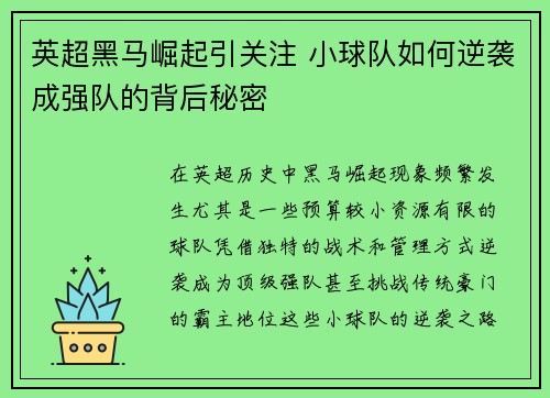 英超黑马崛起引关注 小球队如何逆袭成强队的背后秘密